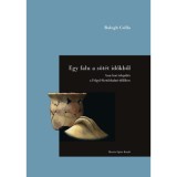 Egy falu a s&ouml;t&eacute;t időkből - Avar kori telep&uuml;l&eacute;s a Felgyő-Kettőshalmi-dűlőben - Balogh Csilla