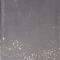 FRONTIERELE ASTRONOMIEI-FRED HOYLE-266190