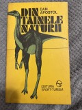 Din tainele naturii - Dan Apostol