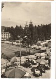 CPIB 18052 CARTE POSTALA - SOVATA