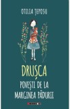 Drusca. Povesti de la marginea padurii - Otilia Teposu, 2022