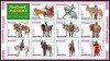Ajman Manama 1972 Military Uniforms in imperf. block Mi.1019-29 MNH DA.244, Nestampilat
