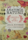 Anatomia naturii. Curiozitatile lumii naturale - Julia Rothman, Carte