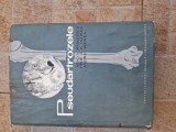 Pseudartrozelor vintage, 1966