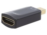 Adaptor DisplayPort 1.2 la HDMI 1.3 negru
