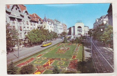 bnk cp Timisoara - B-dul 30 Decembrie - circulata foto