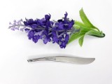 Cumpara ieftin Pensetă G77N &ndash; varf oblic pentru definire perfecta a sprancenelor