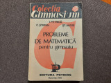 PROBLEME DE MATEMATICA PENTRU GIMNAZIU I PETRICA,C STEFAN-RF16/1