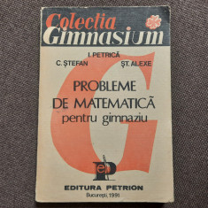 PROBLEME DE MATEMATICA PENTRU GIMNAZIU I PETRICA,C STEFAN-RF16/1