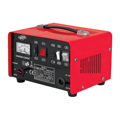 Redresor auto Raider, 110 W, 12/24 V, 9 A, 25/135 Ah foto