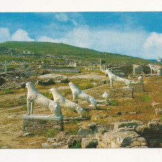 FA2 - Carte Postala - GRECIA - Delos, Arhaic lions, necirculata