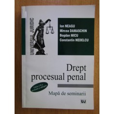 Ion Neagu, Mircea Damaschin - Dreptul procesual penal. Mapa de seminarii