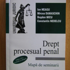 Ion Neagu, Mircea Damaschin - Dreptul procesual penal. Mapa de seminarii