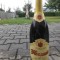 Sampanie Venezia Gold 3l 1996