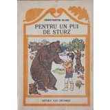 PENTRU UN PUI DE STURZ-CONSTANTIN CLISU-240490