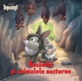Cumpara ieftin Bocanila si animalele nocturne/***