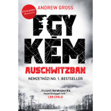Egy k&eacute;m Auschwitzban - Andrew Gross