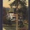 SINAIA CASTELUL PELISOR CIRCULATA 1910 UPU