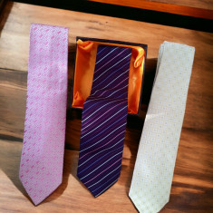 Set cu 3 cravate model 3