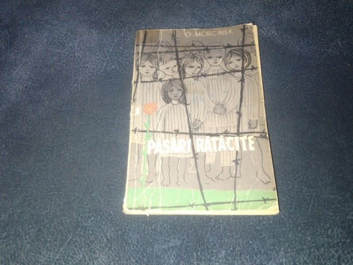G MORCINEK - PASARI RATACITE