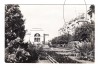 CP Timisoara Teatrul Opera Stat RPR, 1958, Circulata, Banat, Stare Buna