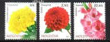 MOLDOVA 2023, Flora, serie neuzata, MNH