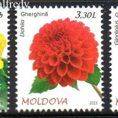 MOLDOVA 2023, Flora, serie neuzata, MNH