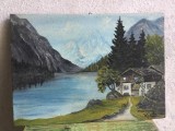 arta / tablou - Pictura ulei pe carton peisaj montan / semnat !