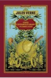 Cumpara ieftin Copiii Capitanului Grant. In America de Sud. Volumul I/Jules Verne