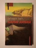Salvador Dali - Chipuri ascunse