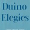 Duino Elegies: A New Translation and Commentary