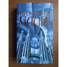 Juan David Morgan - Tacerea lui Gaudi