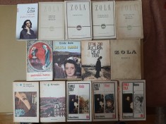 Cele 20 de titluri (in 26 de volume) ale ciclului &quot;Les Rougon-Macquart&quot; de Emile Zola (Greseala abatelui Mouret, Nana, Banii, Doctorul Pascal etc.)