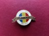 Insigna Flaminzi 1605-1995
