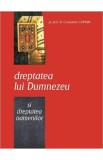 Dreptatea lui Dumnezeu si dreptatea oamenilor - Constantin Coman