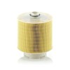 Filtru aer Mann-Filter C171371X