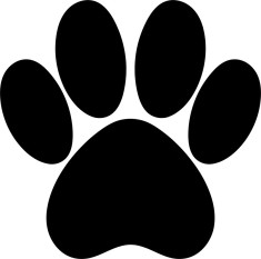 Sticker Auto, Amprenta Animal, 25 cm, 12249ST-4 foto