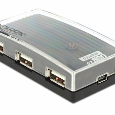 Hub USB 2.0 extern 4 Port + alimentare, Delock 61393