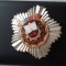 1973 Insigna Fruntas in intrecere
