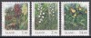 Aland 1989 - Floră - Orhidee, MNH, Nestampilat