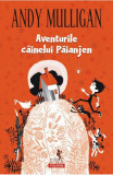 Aventurile Cainelui Paianjen, Andy Mulligan - Editura Polirom