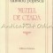Muzeul De Ceara - Dumitru Popescu