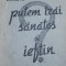 CUM PUTEM TRAI SANATOS SI IEFTIN V. Florescu 1942