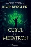 Cumpara ieftin Cubul lui Metatron - Hardcover - Igor Bergler - Bookzone