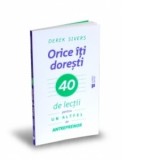 Orice iti doresti. 40 de lectii pentru un altfel de antreprenor - Derek Sivers