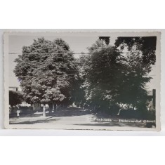 PUCIOASA - BULEVARDUL GARII , FOTOGRAFIE TIP CARTE POSTALA , 1943