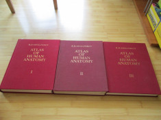 R. D. SINELNIKOV--ATLAS DE ANATOMIE UMANA - 3 VOL. - IN ENGLEZA foto