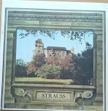 Disc Vinil Johann, Josef, Johann-fiul - Strauss -Electrecord Cat. ST-ECE 01810