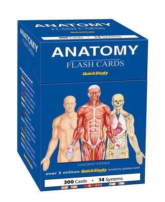 Anatomy Flash Cards foto