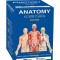 Anatomy Flash Cards